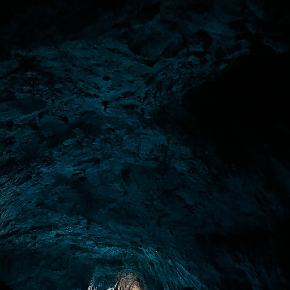 Meet your Posher, Johana